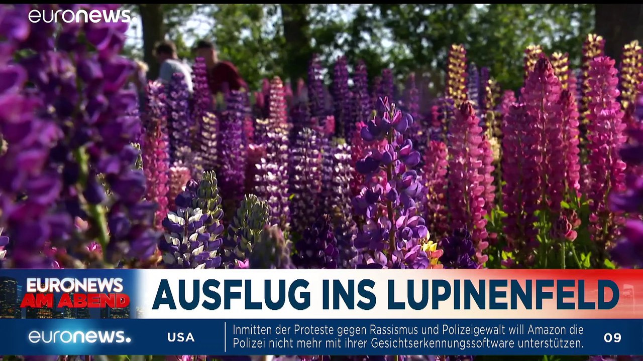 Müssen alle Statuen von Rassisten fallen? Euronews am Abend vom 11.06.