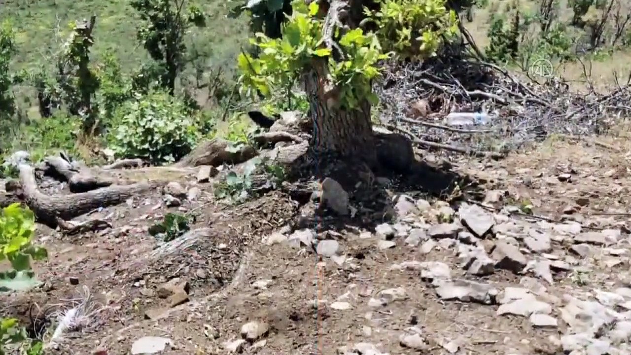Terör örgütü PKK'ya ait 20 EYP imha edildi - HAKKARİ