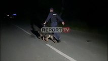 Ekzekutimi në Tiranë/ Në makinën e djegur gjendet automatiku me silenciator!Policia kontrolle me qen