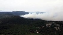 Milas'ta orman yangını - MUĞLA