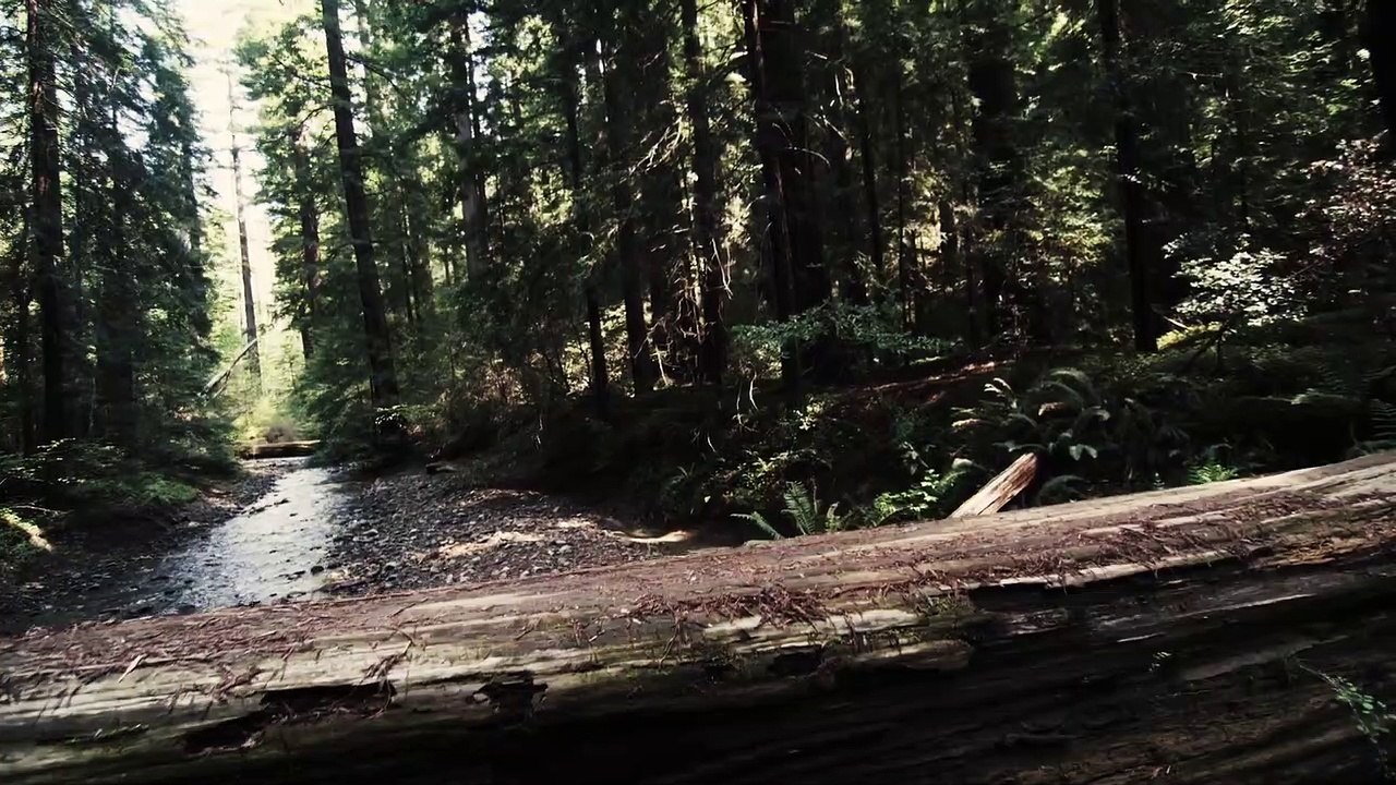 The Town That Loved Bigfoot Documentary movie