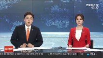 진중권 '의전대통령' 논란…靑 전현직 인사 반발