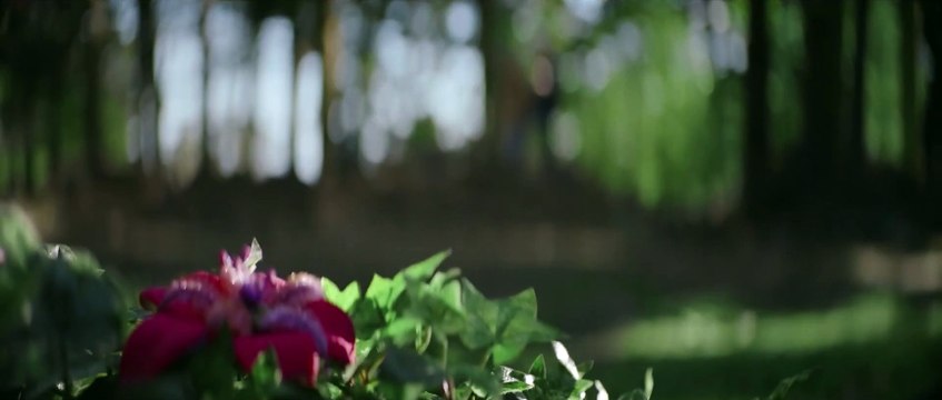 La Couleur tombée du ciel Film avec Nicolas Cage, Joely Richardson