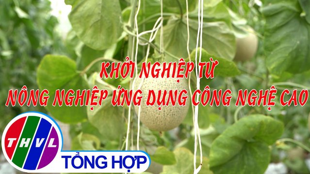 Khởi nghiệp xanh: Khởi nghiệp từ nông nghiệp ứng dụng công nghệ cao