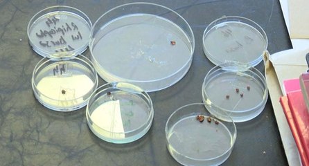 Kırım Kongo yok ancak ‘Lyme’a dikkat!