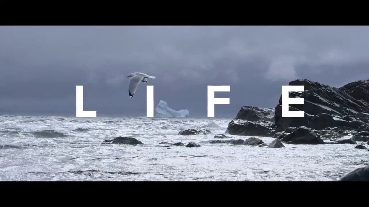 DON'T WASTE YOUR LIFE - Powerful Motivational Speech Video (Ft. Coach Pain)