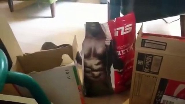 Otter baby Kotaro challenges blocked wall / Le bébé Otter Kotaro défie le mur bloqué / カワウソ コタロー そり立つプロテインの壁をクリアできるか？！