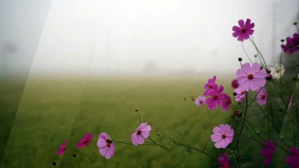 CAMBIA TU VIDA CON AFIRMACIONES POSITIVAS