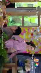 cô dâu nhập khẩu tập 31- cô dâu hải ngoại tập 31