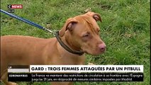 Horreur dans le Gard : Trois passantes attaquées en pleine rue par un pitbull qui prend la fuite avant d'être abattu par les forces de l'ordre