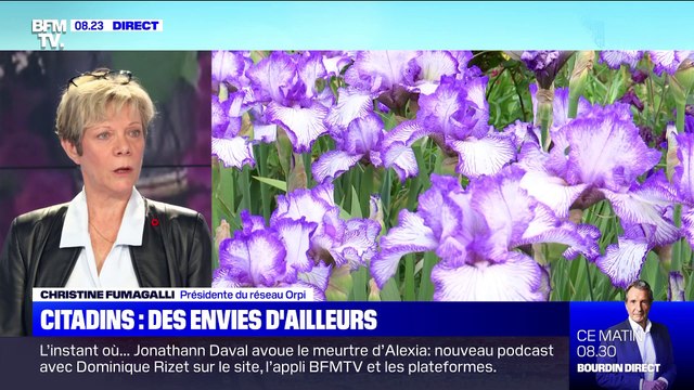 Citadins: des envies d'ailleurs - 12/06