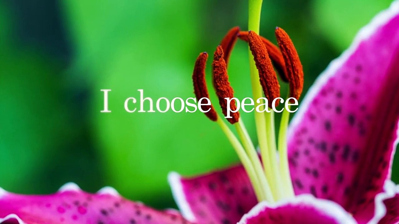 Positive Affirmations to keep you calm and healthy during the Covid 19   Coronavirus pandemic