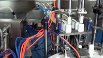 Automatic 2 Head Liquid Filling Capping Machine