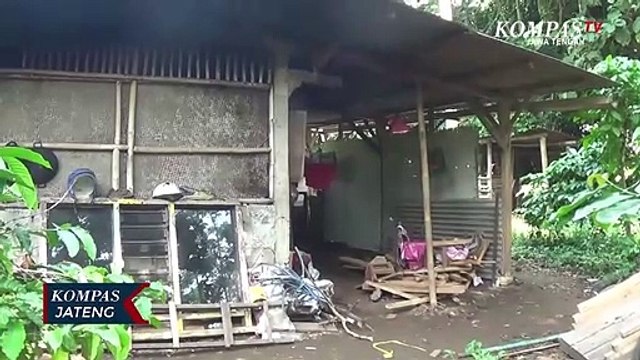 Hidup Prihatin, Satu Keluarga Tinggal di Bekas Kandang Sapi