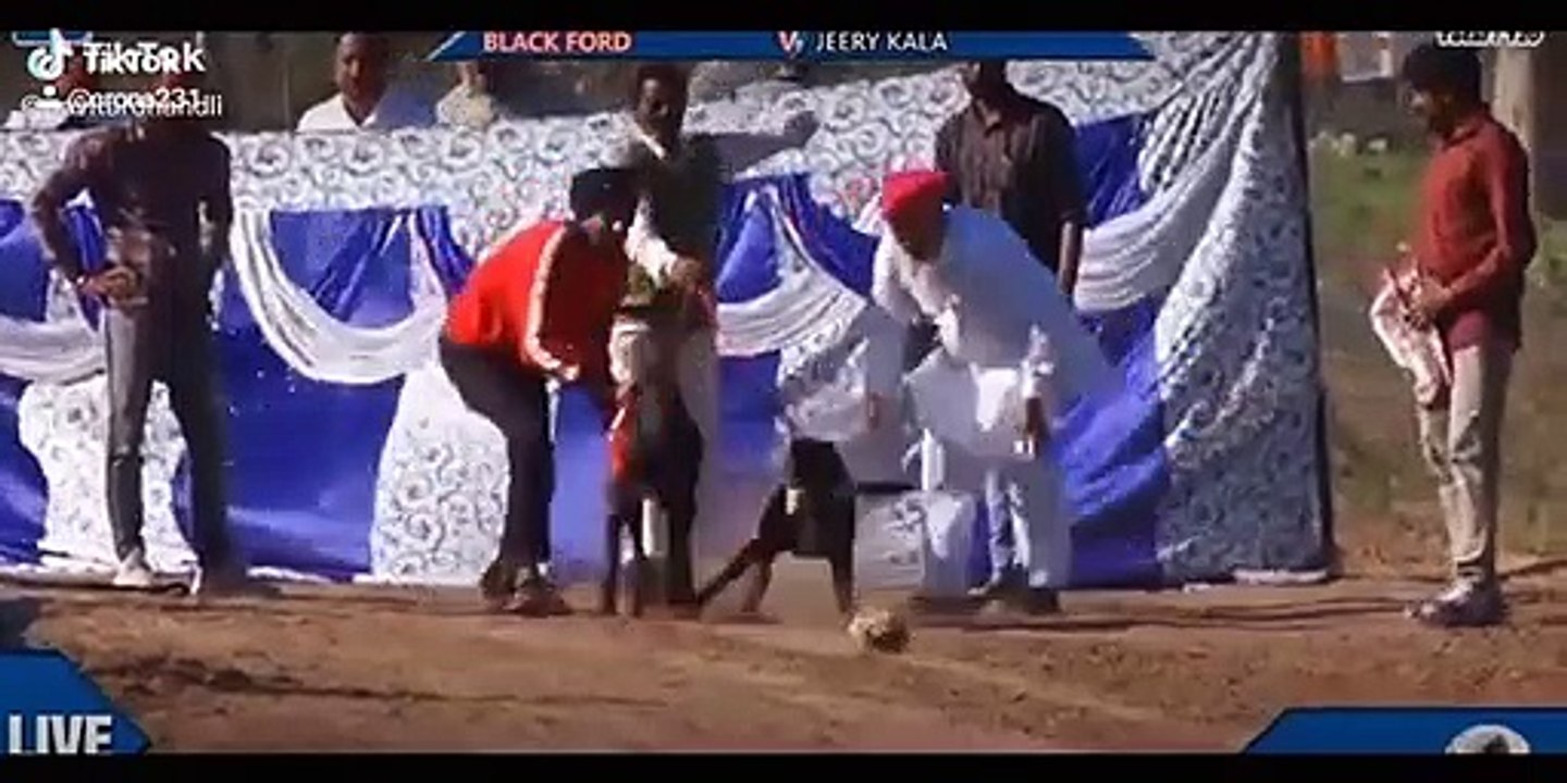 Dog race