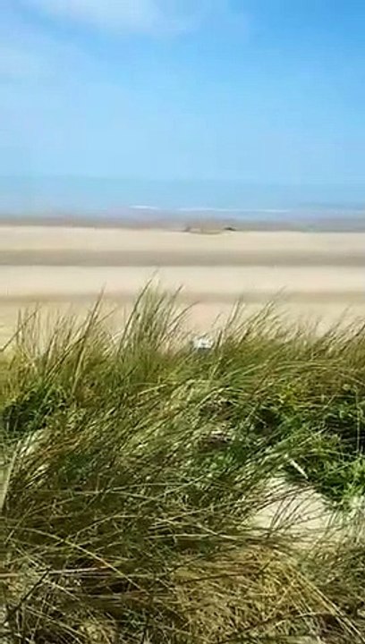 Neutralisation d'une munition de la Seconde Guerre mondiale par les plongeurs de la Marine nationale