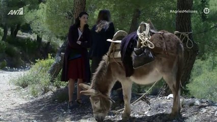Άγριες Μέλισσες: Η συγκλονιστική στιγμή που πέφτει η Ελένη στον γκρεμό
