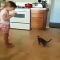 The girl teaches the kitten to acrobac