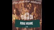 Robag Wruhme vs Pointer Sisters - Yes yes we can can (Bastard Batucada Simsim Mashup)