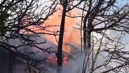 Yangında yaklaşık 50 dönümlük bağ ve zeytinlik hasar gördü - MANİSA