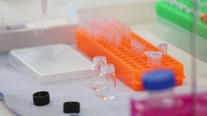 Top News - Studimi në Singapor/ Disa forma të gripit të zakonshëm na mbrojnë nga Covid-19!