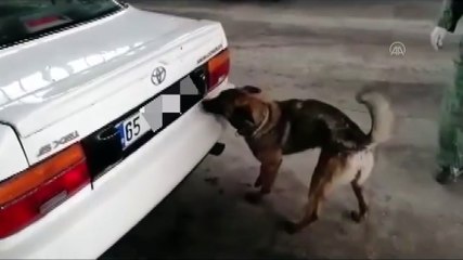 Emniyet Genel Müdürü Aktaş, narkotik ekiplerini tebrik etti (2) - VAN