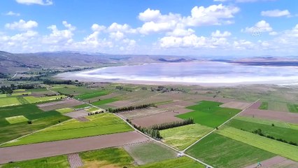 Ziraat mühendisinin el uzattığı kadınların kaderi organik tarımla değişti - KAYSERİ