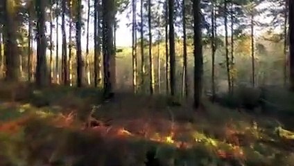 Bismillah ki Barkat | Bismillah ki Barkat se Karobar Main Taraqi