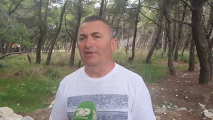 Shkatërrimi i mushkërisë së Vlorës! Si po pritet pa kriter pylli i Sodës