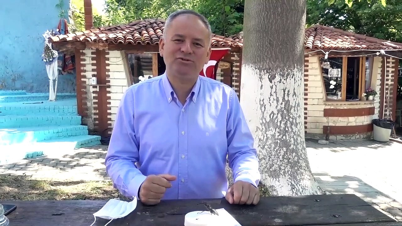 Nadir görülen "Geyik Böceği" Kırklareli'nde ikinci kez görüntülendi - KIRKLARELİ