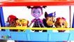Vampirina Wrong Heads with Paw Patrol Doc McStuffins & Rosie to The Rescue Ambulance