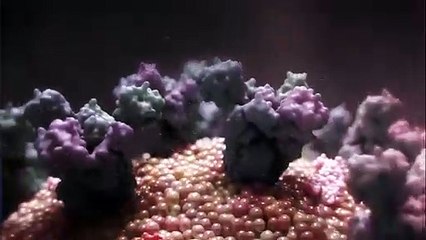 "Pandemik polisiye" "Gün On4", Instagram'dan sonra Puhu TV'ye geliyor