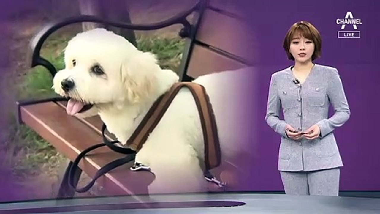 [뉴스A 클로징]“외로워서” 반려동물 키우는 코로나 시대