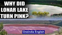 Lonar lake turns pink overnight, what caused this rare sight? | Oneindia News