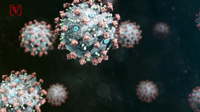 Health Experts Look to Polio, Tuberculosis Vaccines as Temporary Measures to Combat COVID-19