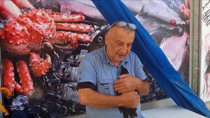 Bu karga başka…Balıkçının kediden kurtardığı kargayla 8 yıllık dostluğu görenleri şaşırtıyor