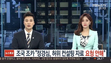 조국 조카 "정경심, 허위 컨설팅 자료 요청 안해"