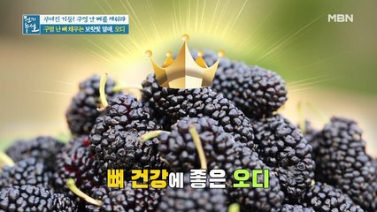 체내 흡수율 UP! 골다공증에 더욱 도움 되는 "냉동 오디"