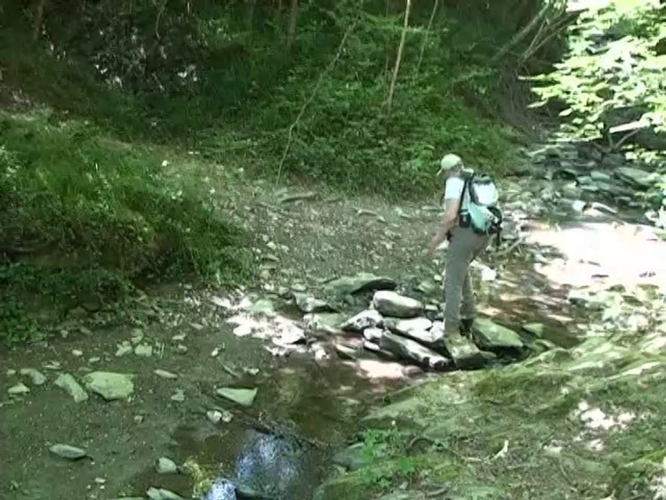 Entre ruisseaux Morin et Rolland - Loire sur Rhône 69700