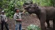 Thai elephants return to villages as tourists disappear amid coronavirus pandemic