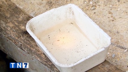 tn7-golfito-corredores-incremento-de-dengue-120620