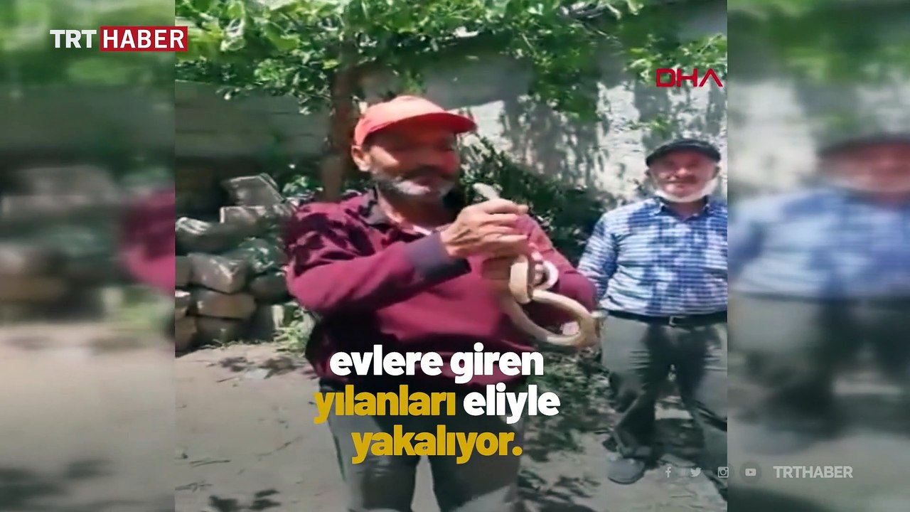 Mahallenin yılan avcısı