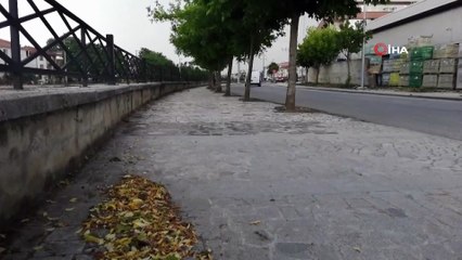 Düzce’de yağış ve rüzgar etkili oldu