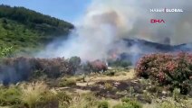 Aydın'da makilik alandaki yangın