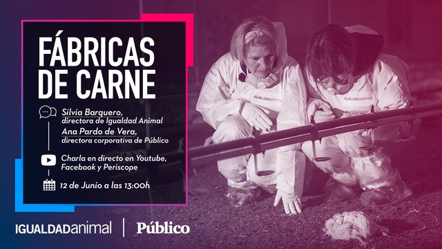 'Fábricas de Carne': charla entre Ana Pardo de Vera y Silvia Barquero sobre la crueldad de la industria de la carne de pollo en España