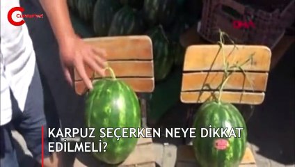 İyi karpuz nasıl ayırt edilir? Alırken neye dikkat edilmeli?