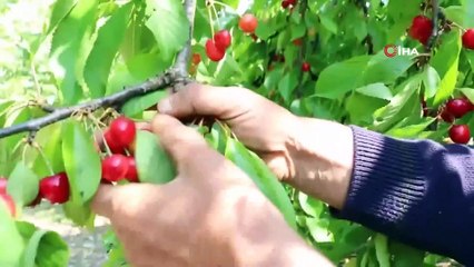 İncelemeye gitti, doluya yakalandı