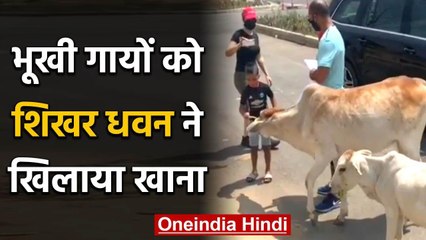 Shikhar Dhawan shared a video on instagram feeding hungry animals during lockdown | वनइंडिया हिंदी