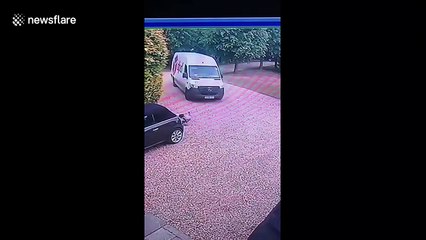 Hilarious moment delivery driver gets taunted by a pet turkey