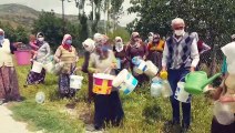 Mahalle sakinlerinden 'sularının akmadığı' iddiasıyla oturma eylemi - AMASYA